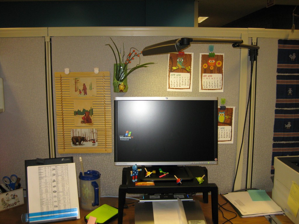 2010 Cubicle Makeover 006