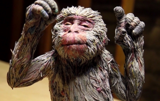 chie hitotsuyama paper monkey