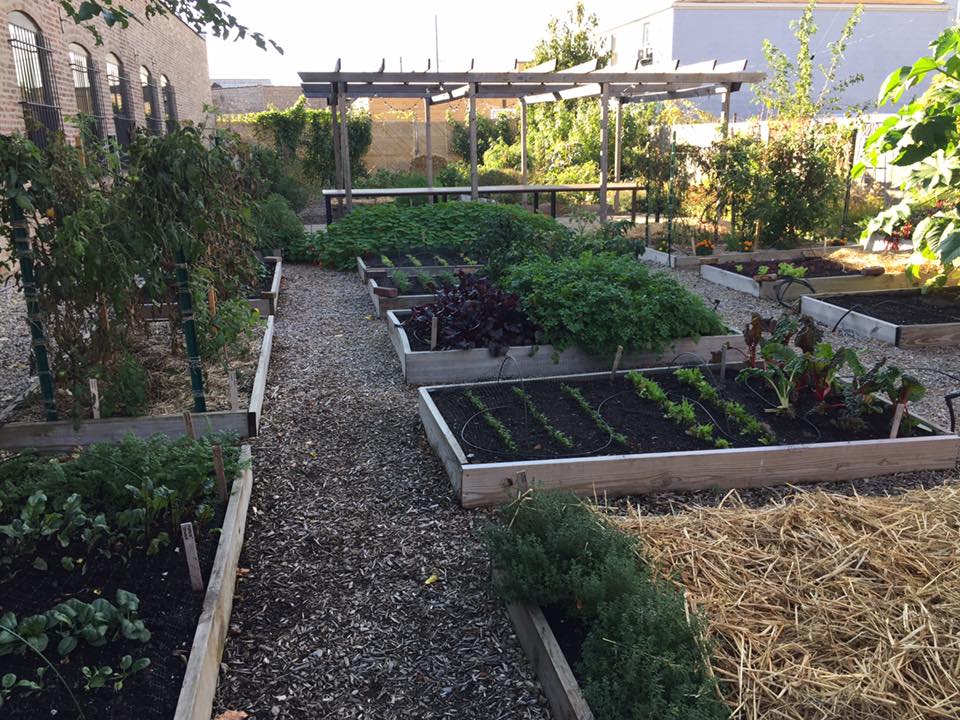 Big D Garden