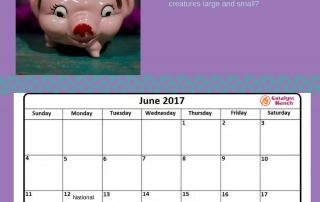 June Catalyst Ranch Calendar