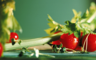 Catalyst Ranch Breakfast and Beyond