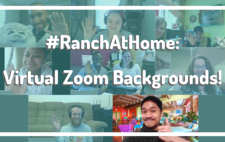 A screenshot of a group virtual video meeting, with one face using a Catalyst Ranch colorful background.