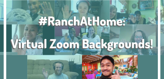 A screenshot of a group virtual video meeting, with one face using a Catalyst Ranch colorful background.