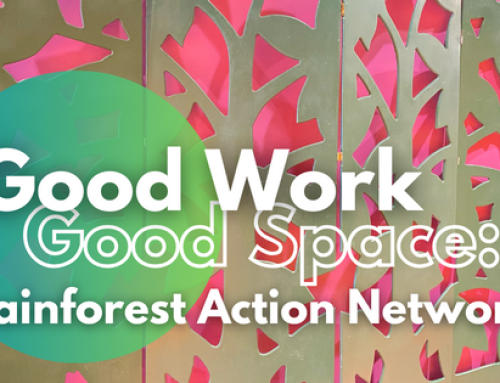 Good Work, Good Space: Rainforest Action Network